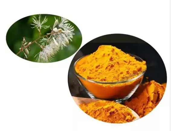 What is Macleaya Cordata?